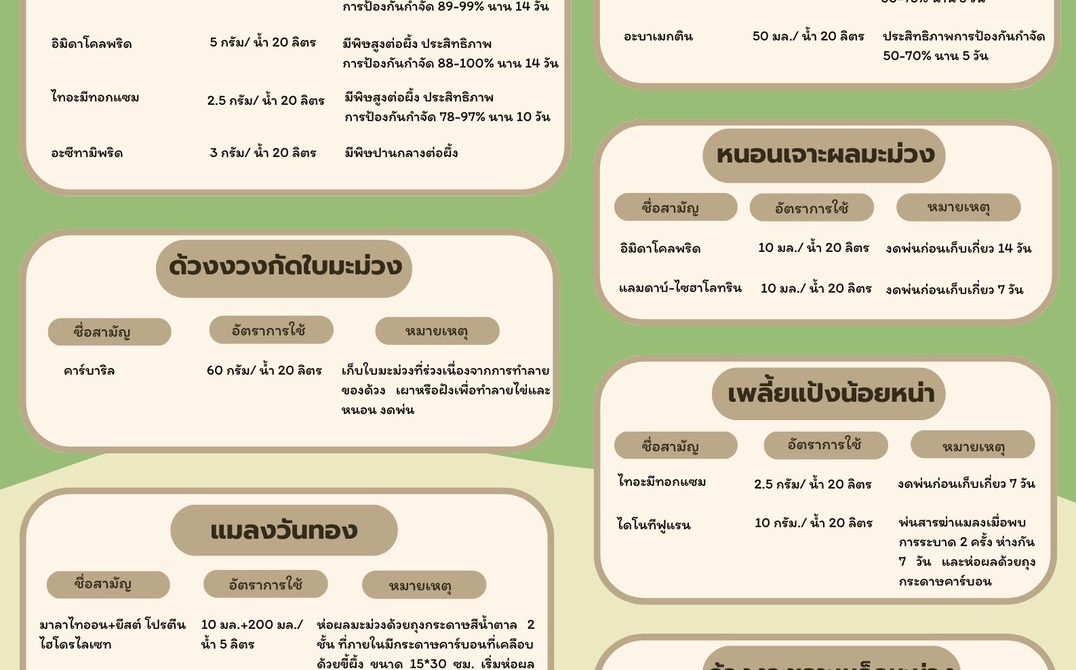 สารเคมีสำหรับมะม่วงส่งออกไปสาธารณรัฐเกาหลี