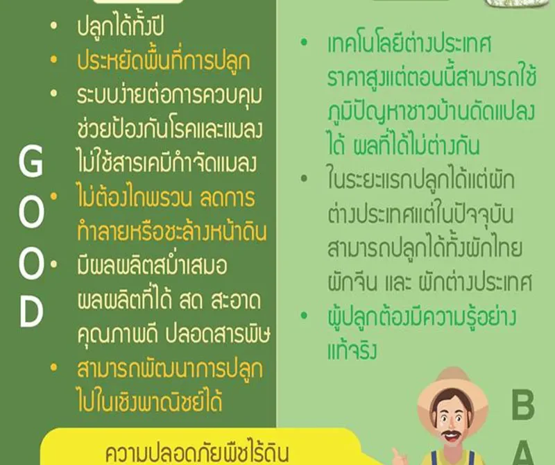 การปลูกพืชไร้ดิน